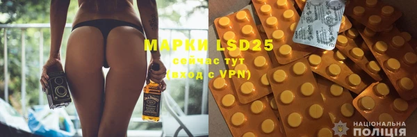 ГАЛЛЮЦИНОГЕННЫЕ ГРИБЫ Новосибирск