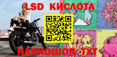 гашик Берёзовский