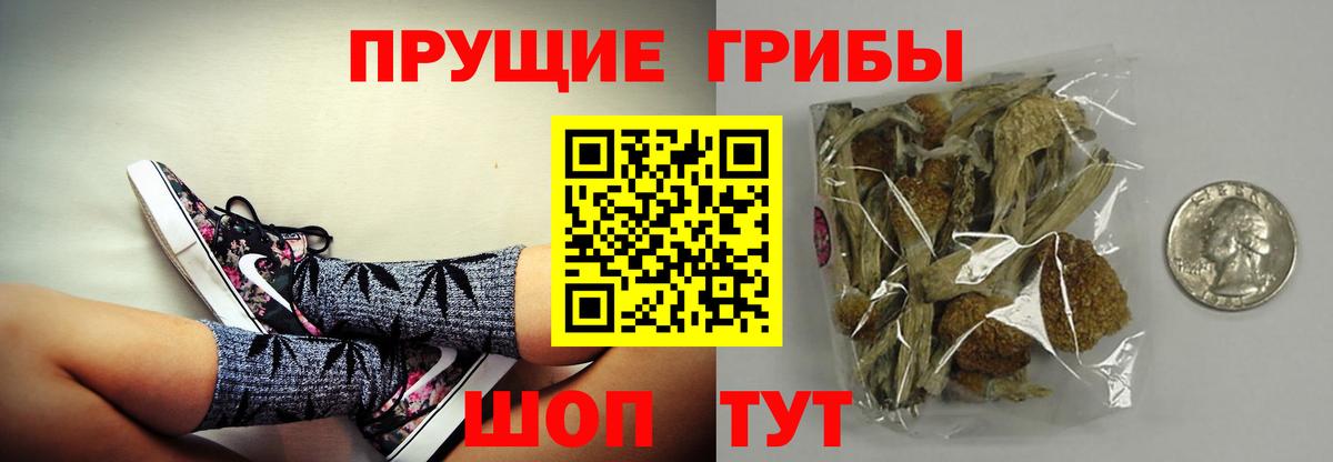 Псилоцибиновые грибы Cubensis  Орск  Псилоцибиновые грибы Magic Shrooms 